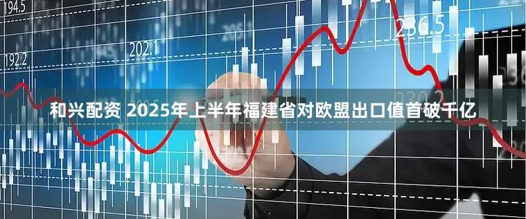 和兴配资 2025年上半年福建省对欧盟出口值首破千亿